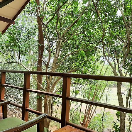 Elephant Lodge ウダワラウェ エクステリア 写真