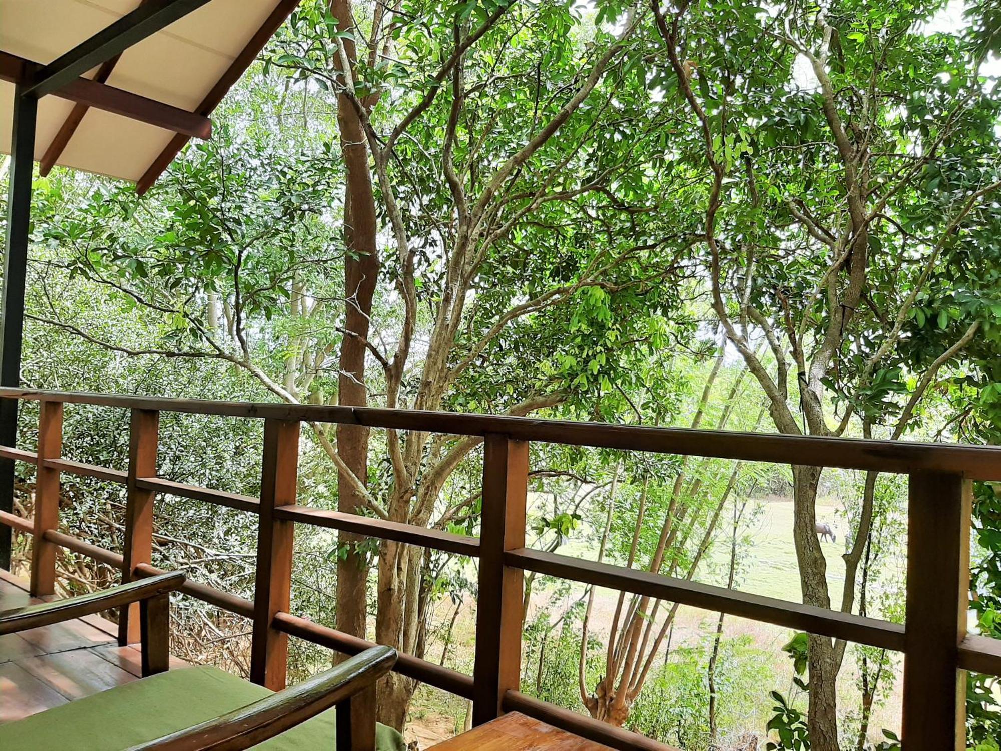 Elephant Lodge ウダワラウェ エクステリア 写真