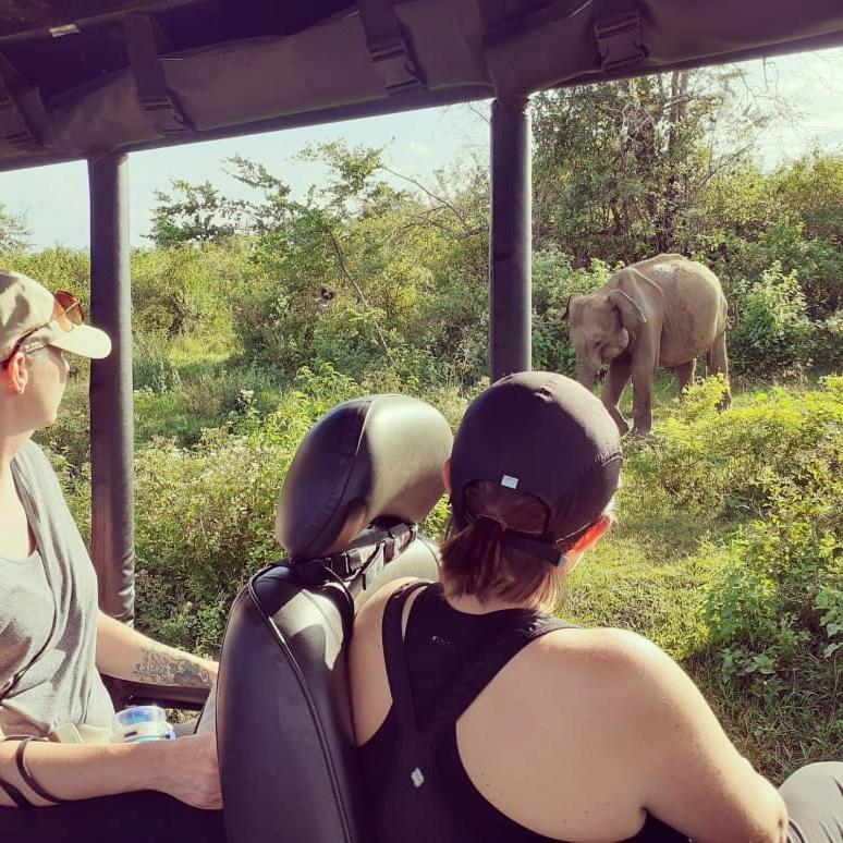 Elephant Lodge ウダワラウェ エクステリア 写真